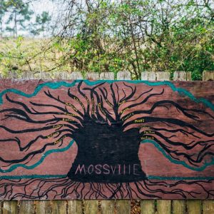 -CR0A9756_MOSSVILLE_TREES