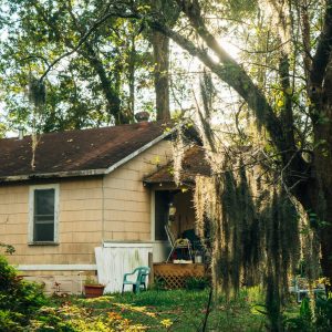 -DSC00097_MOSSVILLE_A7R2_CARD2_PHOTO_NOV7_HAKI_PROPERTY_0006_MOSSVILLE_TREES