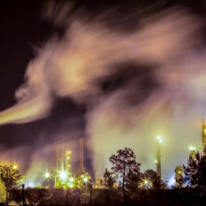 -LRT_00018_MOSSVILLE_PLANTS