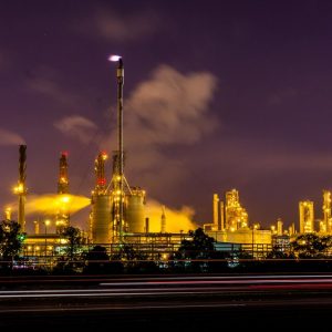 -_MG_7099_MOSSVILLE_PLANTS